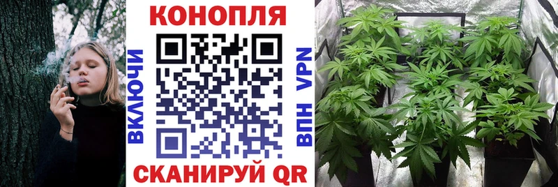 Марихуана SATIVA & INDICA  Янаул 